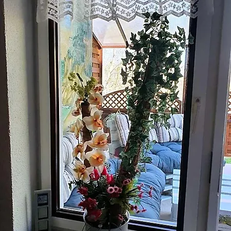 Goscinne Motylek Zieleniewo (Kolobrzeg)