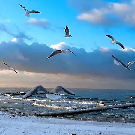 Goscinne Motylek Otel Zieleniewo (Kolobrzeg)